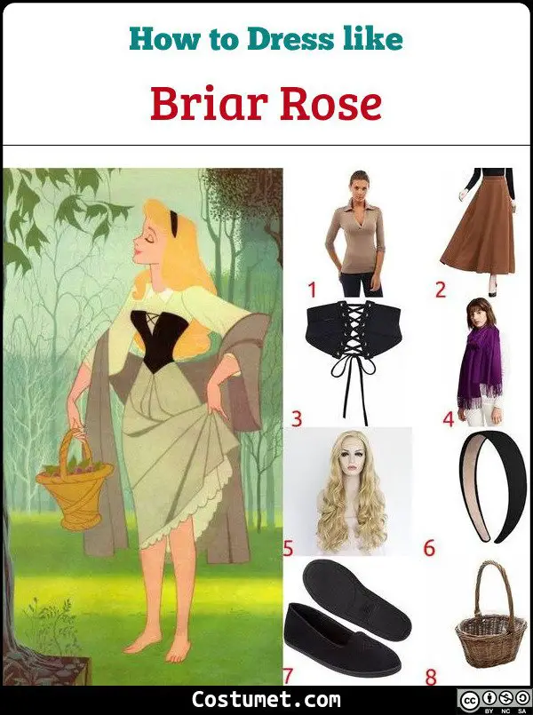 Briar Rose Costume for Cosplay & Halloween