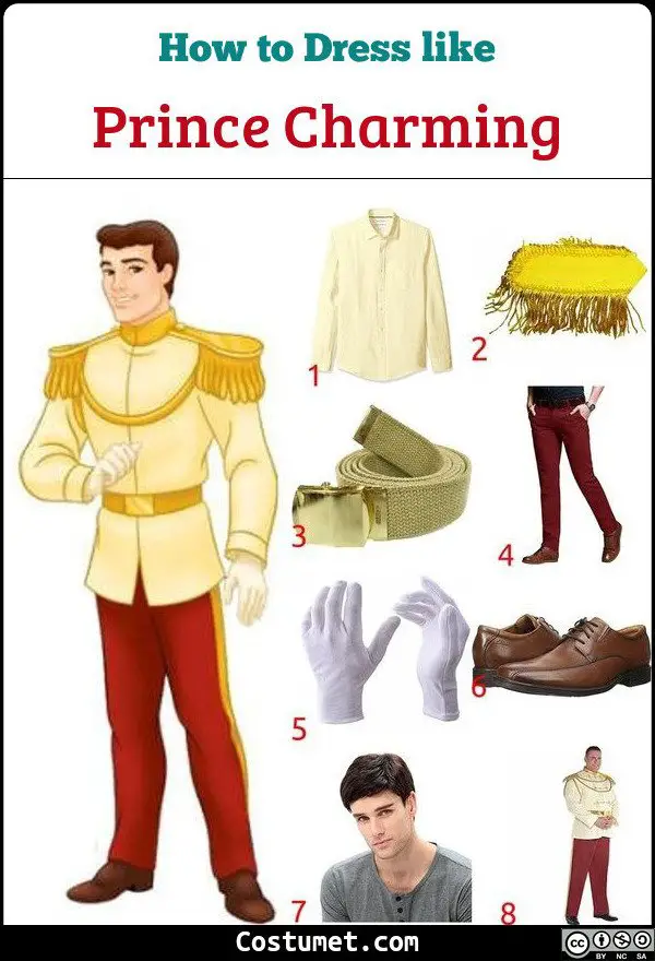 Prince Charming Costume for Cosplay & Halloween