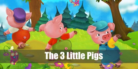 The Three Little Pigs costume feature a plaid shirt under a vest and paired with plaid pants. Then add a pig’s snout, ears, and tail to the costume.