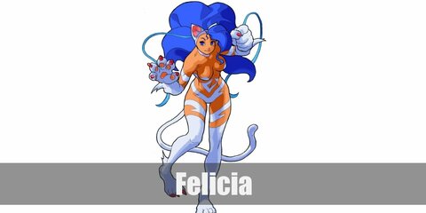  Felicia’s costume is a white bikini top and bottom, and white thigh-high stockings. She also has white claws, white feet, white cat ears, a white tail, and long blue hair.