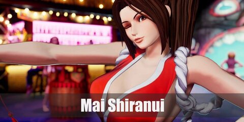 Mai Shiranui wears a sexy version of a red kimono with a halter top, a pony tail, and red shoes.