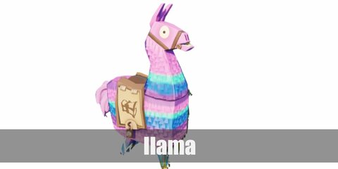  Llama’s costume is made up of large moving boxes, crepe paper streamers, acrylic paint, and a nylon strap.