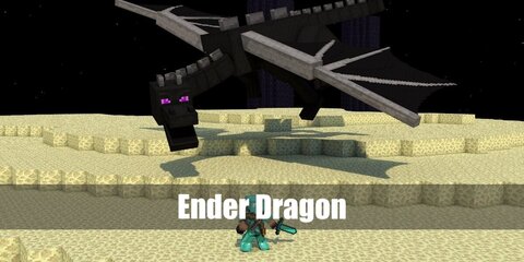  Ender Dragon’s costume is a black long-sleeved shirt, black pants, black shoes, a pair of black dragon wings, and a cube-shaped dragon head.