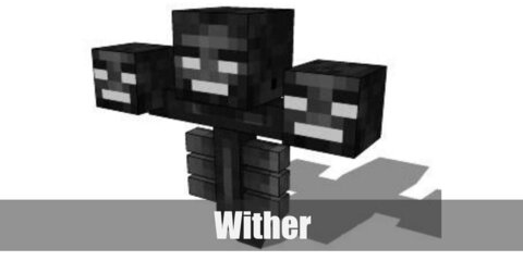 For Wither costume, cut a hole on big box for your head to fit. Cut a smaller hole on two smaller boxes for your fist. Paint them black and add Wither's marks with tape before wearing them on an all-black outfit.