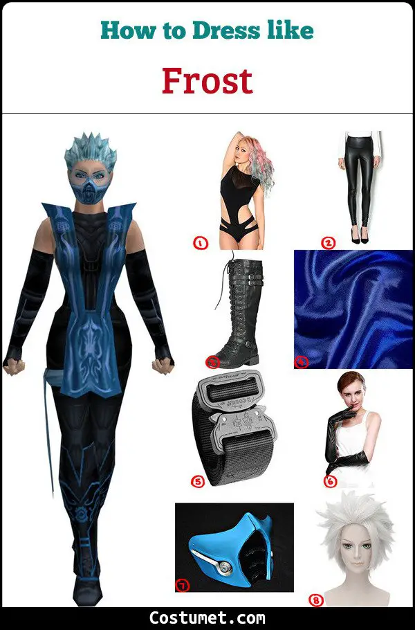 Frost Costume for Cosplay & Halloween