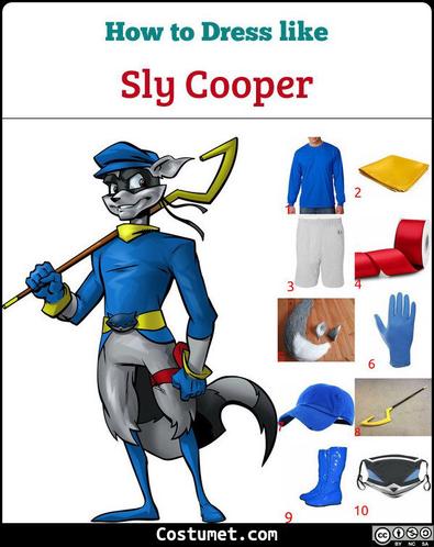 Sly Cooper Costume, Carbon Costume