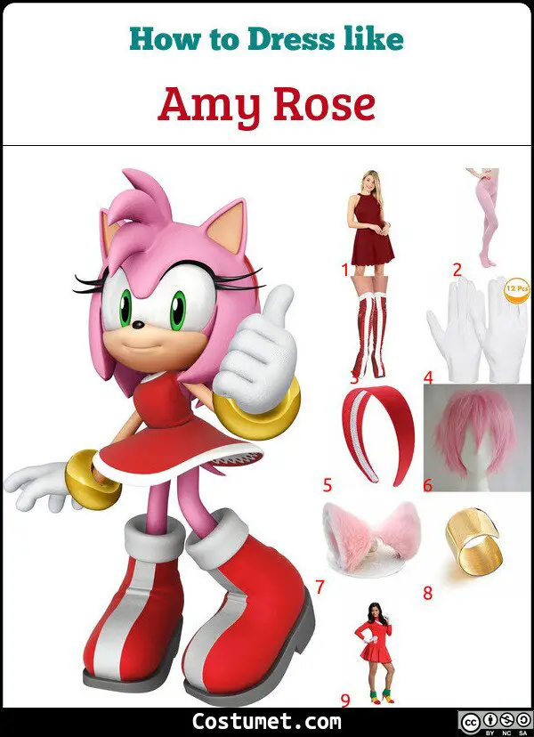 Amy Rose Costume for Cosplay & Halloween