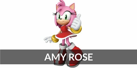 Amy Rose’s costume is a red halter top dress, pink tights, white gloves, red shoes, and a pink wig. Don’t let Amy Rose’s cheerful demeanor fool you into thinking she’s not dangerous.