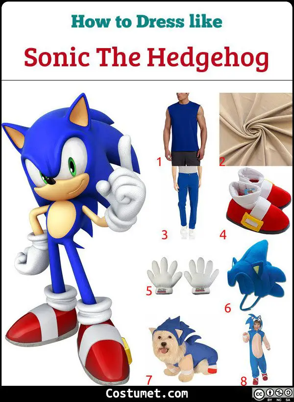 Sonic The Hedgehog Costume for Cosplay & Halloween