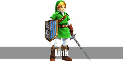  Link’s costume is a beige under shirt, beige pants, a green tunic, brown belts, brown knee-high boots, a green fleece hat, brown fingerless gloves, and arm bracers.