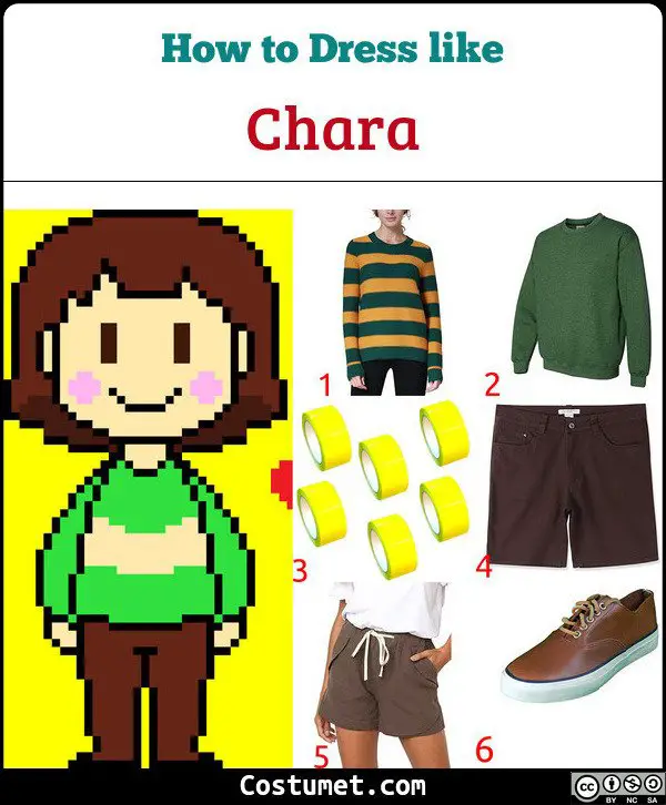 Chara Costume for Cosplay & Halloween