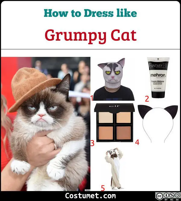 Grumpy Cat Costume for Cosplay & Halloween