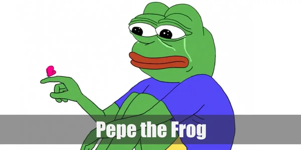 Pepe the Frog Costume for Cosplay & Halloween