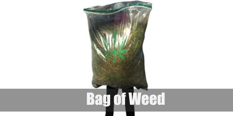  Bag of Weed’s costume is  a long-sleeved black T-shirt, ripped black jeans, black hightop sneakers, retro sunglasses, and a jumbo plastic bag with weed inside.