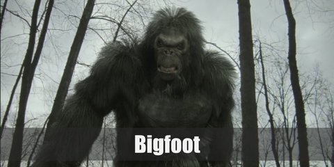 Bigfoot's costume is composed of a furry or fuzzy top and pants in brown or black. Pair it with monster hand gloves and shoes.