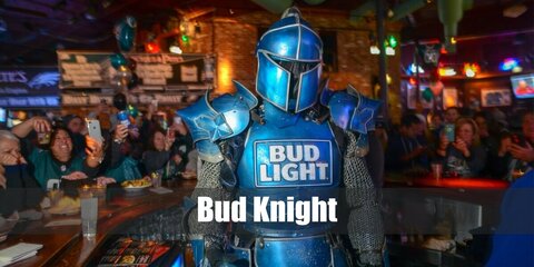 Bud Knight Costume