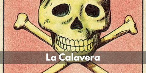 La Calavera’s costume is a long-sleeved black T-shirt, black stretch pants, a skull bone mask, jumbo plastic human crossbones, and a giant Loteria card.