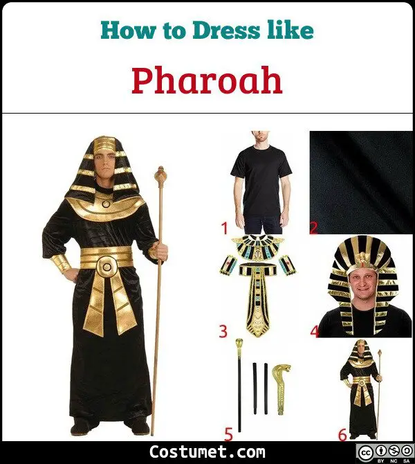 Pharoah Costume for Cosplay & Halloween