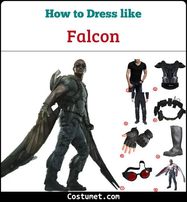 Falcon Costume for Cosplay & Halloween