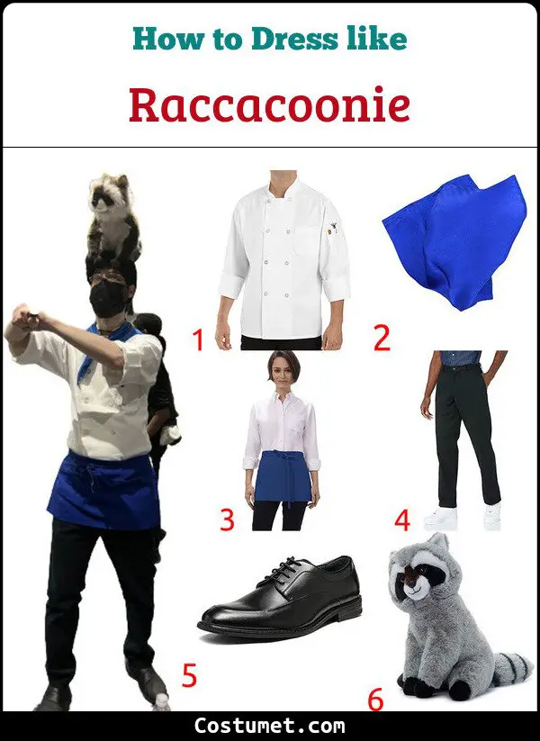 Raccacoonie Costume for Cosplay & Halloween