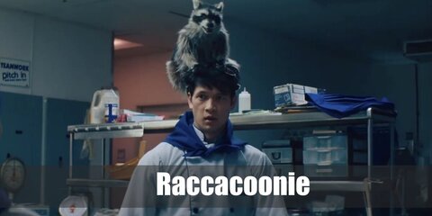 Raccacoonie's Costume from Everything Everywhere All at Once