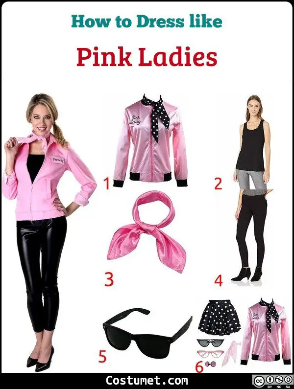 Pink Ladies Costume for Cosplay & Halloween