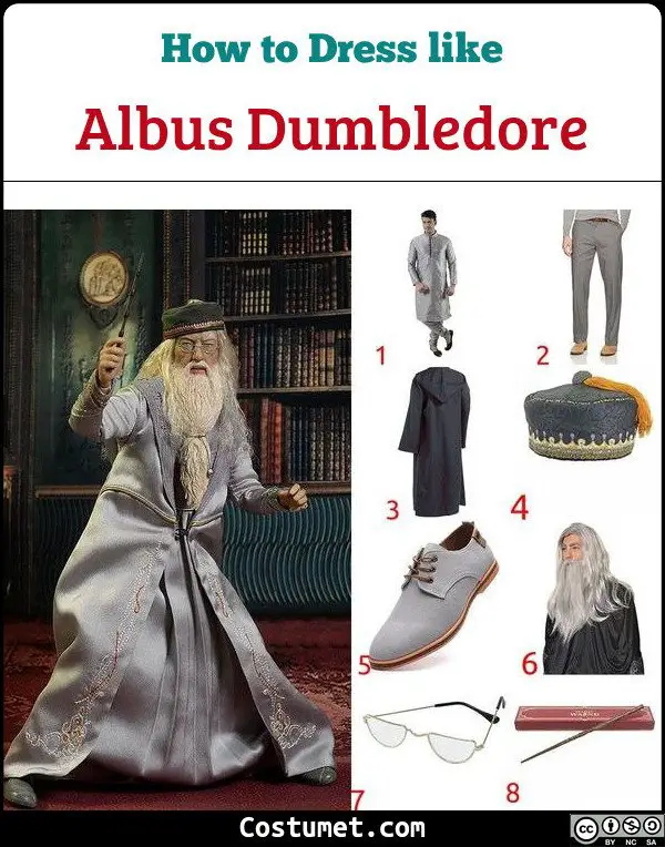 Albus Dumbledore Costume for Cosplay & Halloween. 