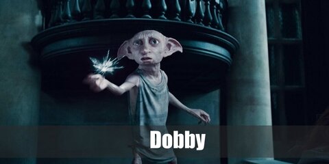 Dobby wears a sack cloth. He has elf ears, too. Carry a sock to complete the look.