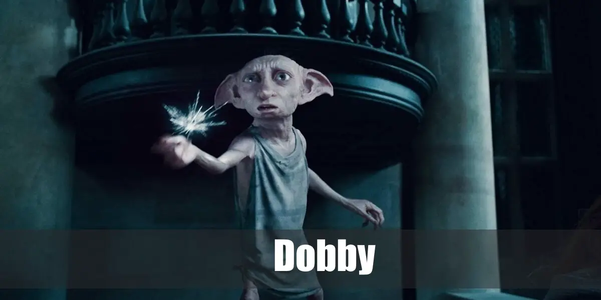 Dobby's (Harry Potter) Costume for Cosplay & Halloween