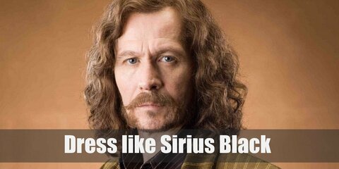 Sirius Black looked like the ghost of his former handsome self when he came out of Azkaban. He was gaunt and crazy-looking. But come Book 5, he was looking better.