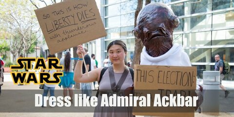  The most important thing in cosplaying Admiral Ackbar is to find its recognizable mask, characterized by large fish-like eyes. Other pieces of the costume shouldn’t be so difficult to find. This character wears a classic Star Wars military uniform.