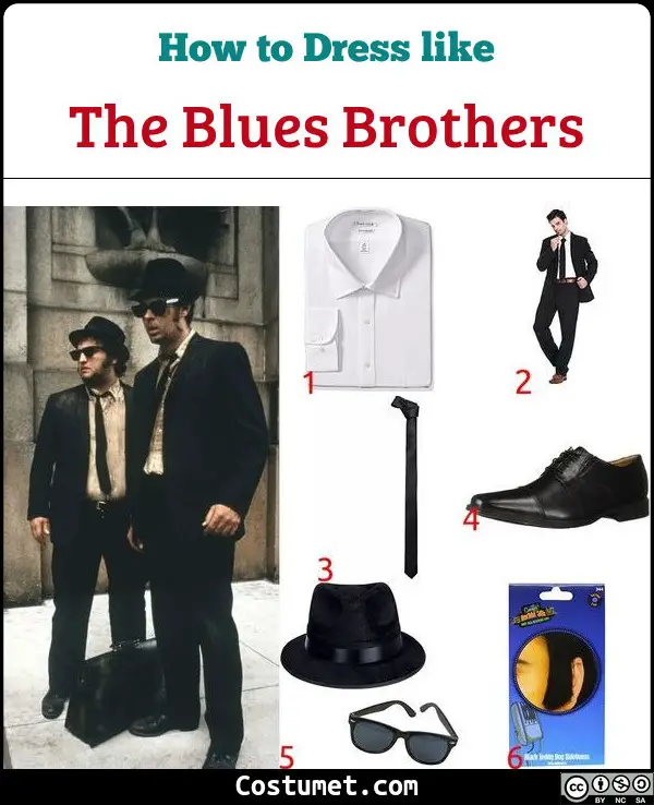 The Blues Brothers Costume for Cosplay & Halloween