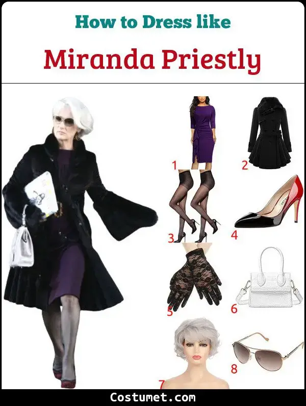 Miranda Priestly's (The Devil Wears Prada) Costume for Cosplay & Halloween  2023