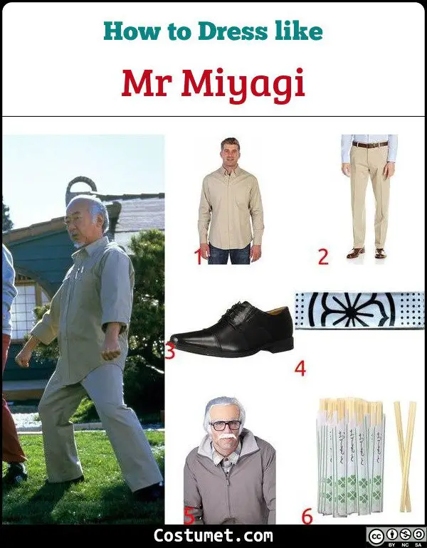 mr miyagi fancy dress