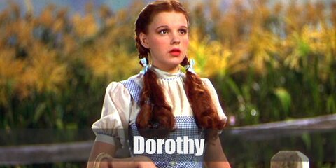  Dorothy`s costume is a white puffed-sleeve shirt underneath a blue-green plaid dress, ruffle socks, her iconic sparkly ruby slippers, and she styles her hair in pigtails.