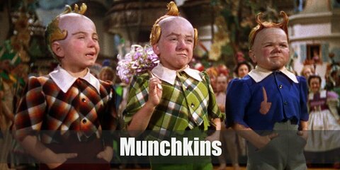  The Munchkins costume are bright plaid shirts paired with bright cut-of shorts, bright shoes, a whimsical hair do, and some even bring a long a giant lollipop.