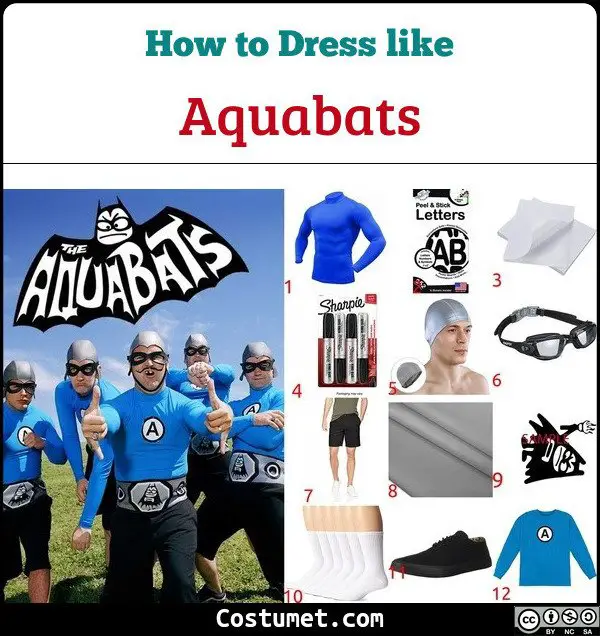 Aquabats Costume for Cosplay & Halloween