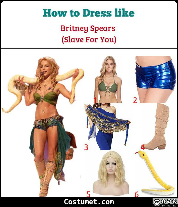 Britney Spears (Slave 4 u/Snake) Costume for Cosplay & Halloween