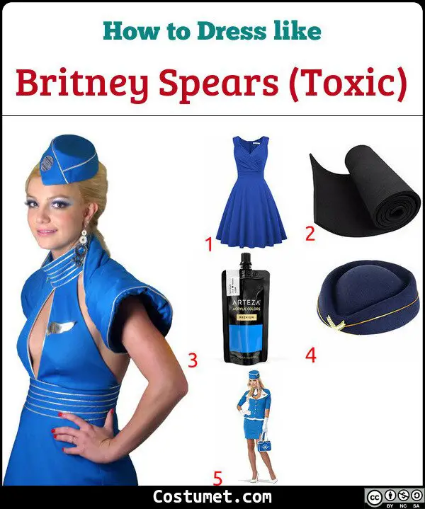 Britney Spears (Toxic - Flight Attendant/Stewardress) Costume for Cosplay & Halloween