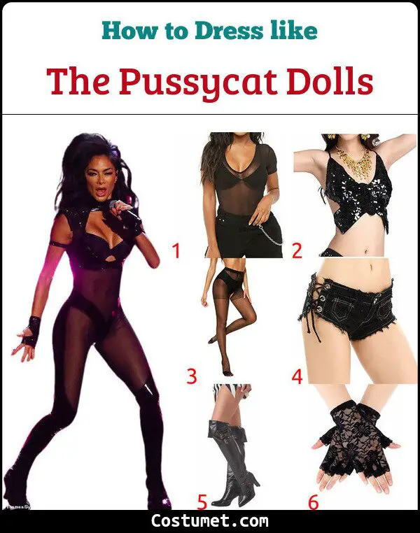 The Pussycat Dolls Costume for Cosplay & Halloween