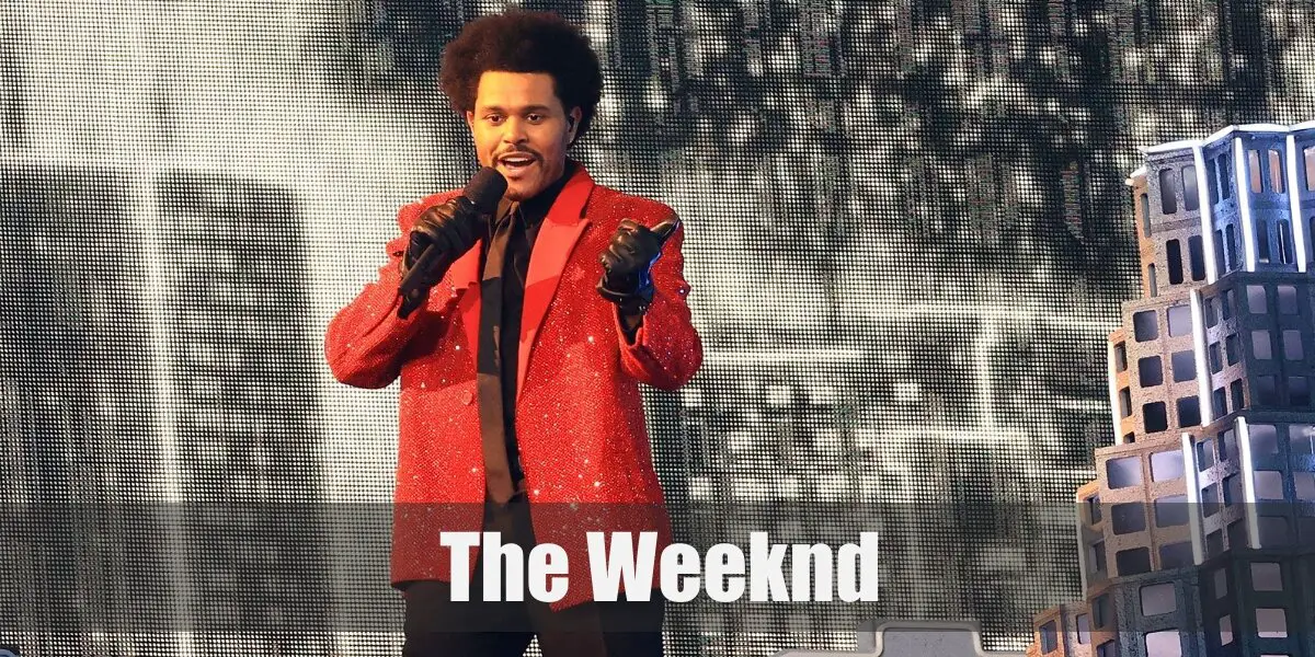 The Weeknd's Costume for Cosplay & Halloween