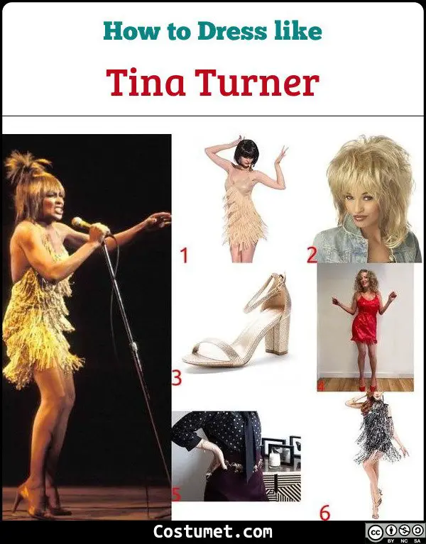 Ladies 1980s Tina Turner Style Fringed Costume With Wig | vlr.eng.br