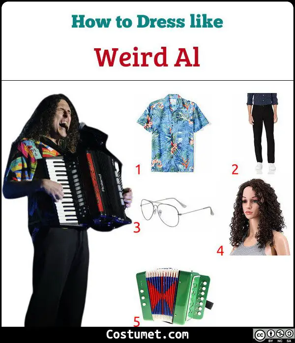 Weird Al Costume for Cosplay & Halloween