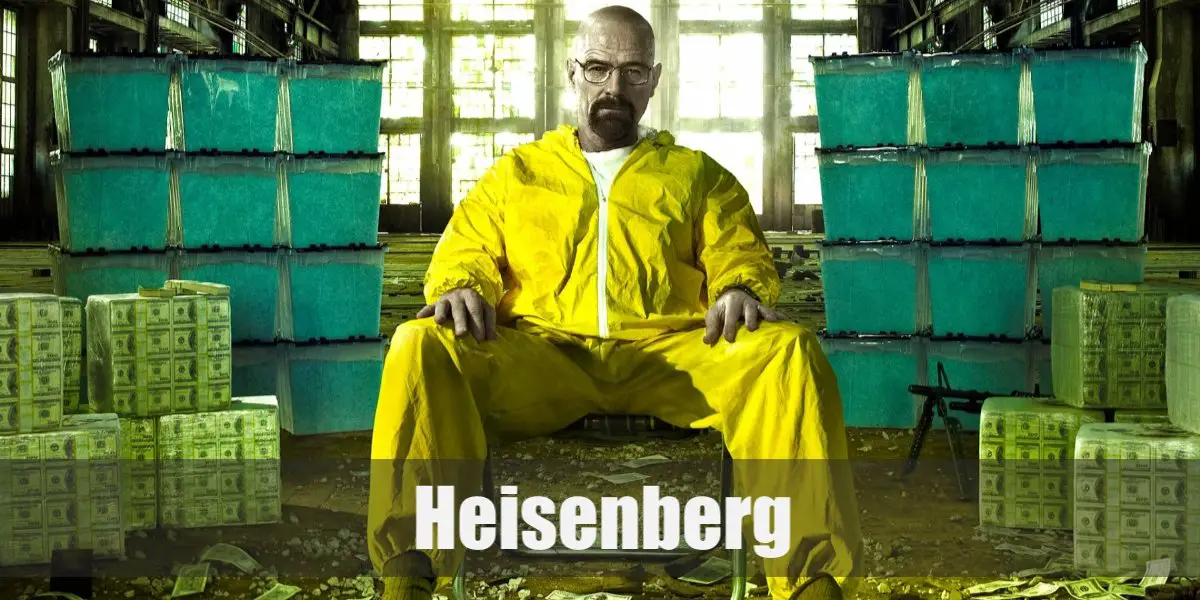 Walter White Schutzanzug Breaking Bad Kostüm Heisenberg Labor Jumpsuit Overall 