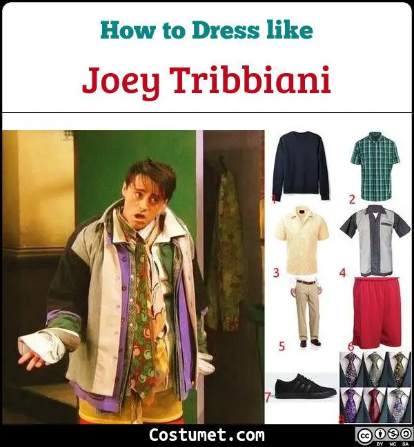 Joey Tribbiani Costume for Cosplay & Halloween