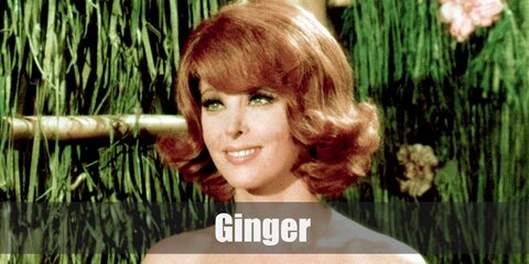 Ginger's costume is known for her long dresses on the show. Simply get a light-colored maxi dress and top it off with a chopped ginger wig.