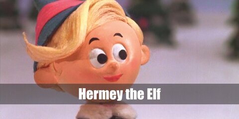 Hermey the Elf (Rudolph the Red-Nosed Reindeer) Costume