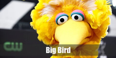 Big Bird’s costume is a fitted yellow long-sleeve shirt with yellow feathers attached, orange leggings with pink furry rings, and orange bird feet.