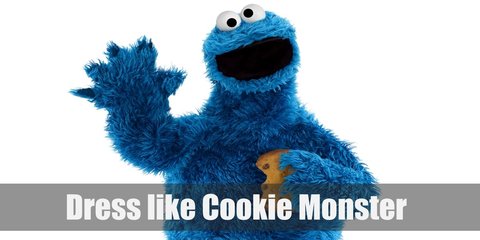  Cookie Monster is a blue, furry monster with googly, round eyes and can be seen with a cookie on hand more often than not. 