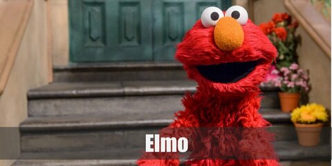 Elmo’s costume is a red shirt, red bottoms, red sneakers, and an Elmo headband or cap.